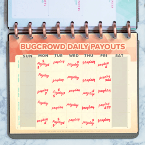 Bugcrowd Daily Payments for Researchers