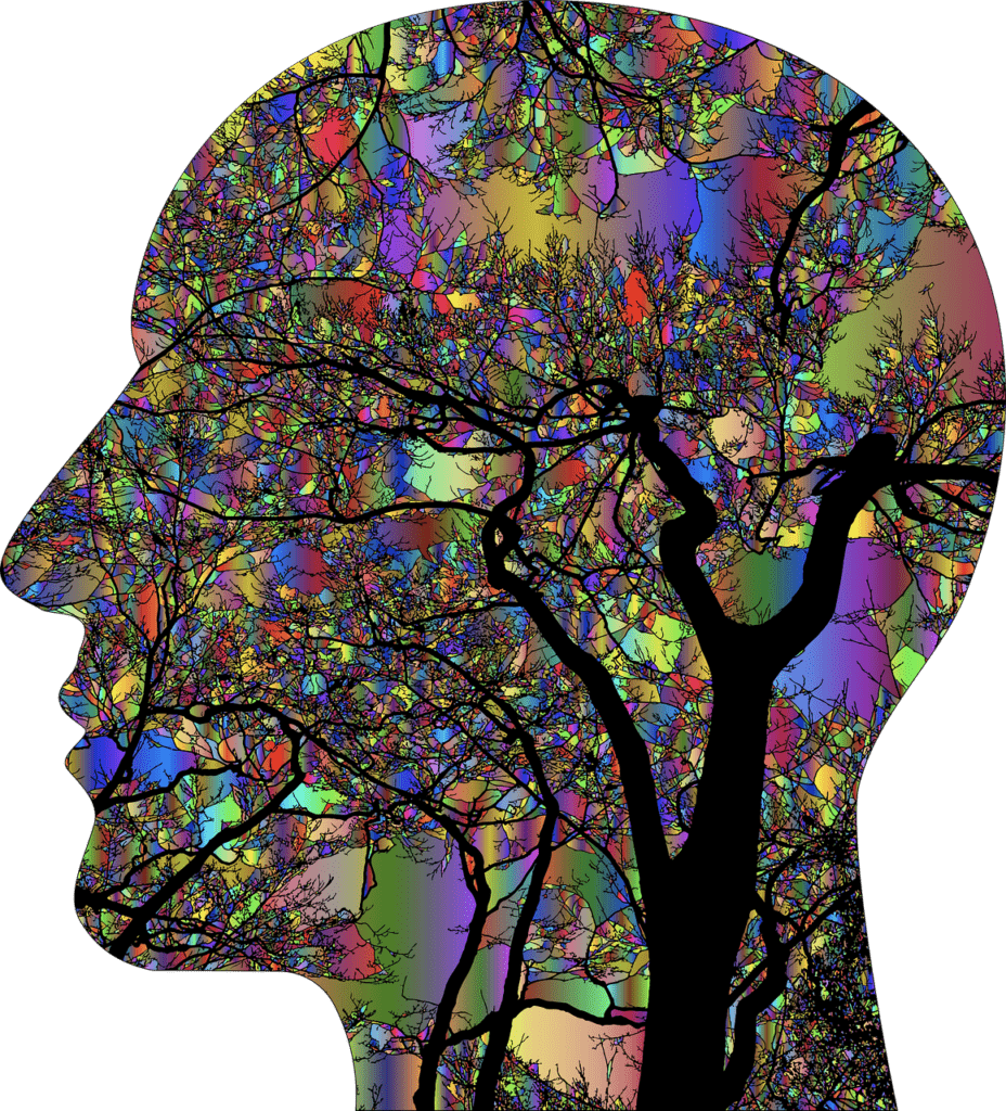 Tree of Knowledge Image