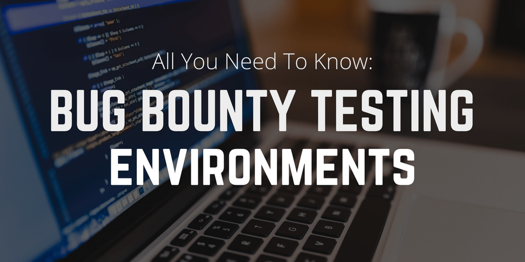 All You Need to Know About Bug Bounty Testing Environments