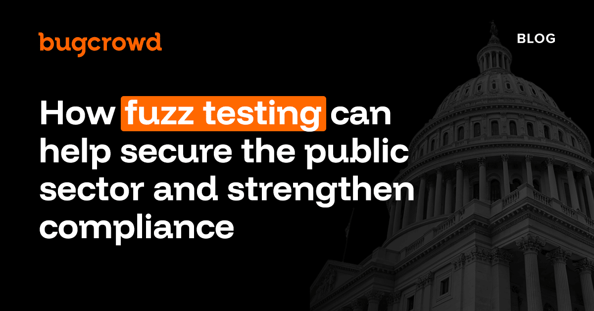 How fuzz testing can help secure the public sector and strengthen compliance