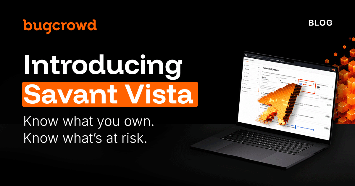 Introducing Savant Vista: Know what you own. Know what’s at risk.
