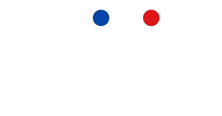 Vijil